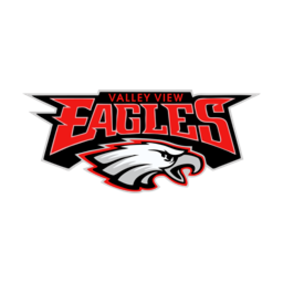 Valley View High School logo